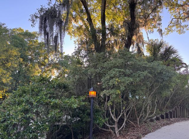 705 Sandpiper Ridge, Edisto Island, SC 29438