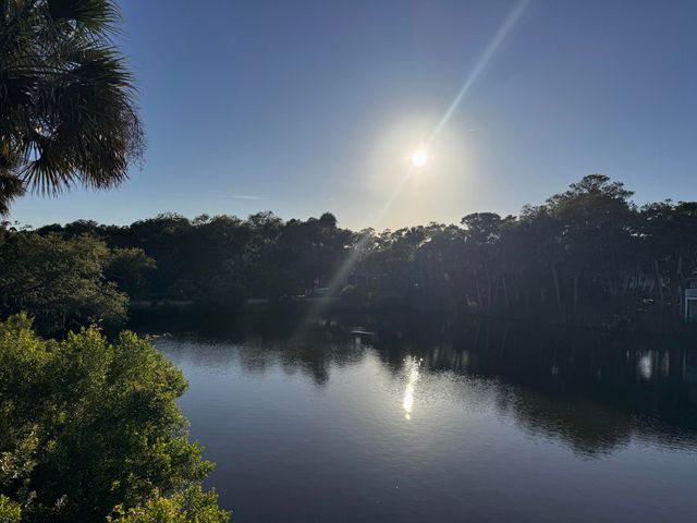 705 Sandpiper Ridge, Edisto Island, SC 29438