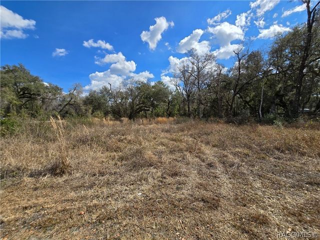 6436 Yam Street, Webster, FL 33597