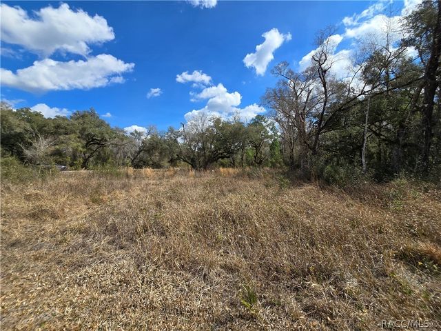 6436 Yam Street, Webster, FL 33597