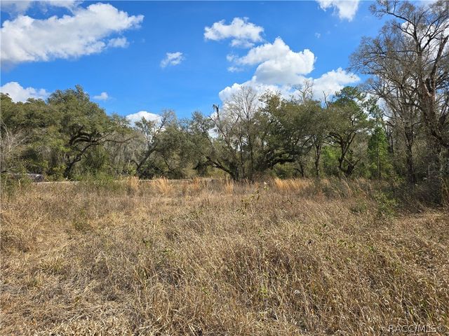 6436 Yam Street, Webster, FL 33597