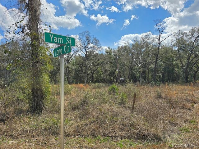 6436 Yam Street, Webster, FL 33597