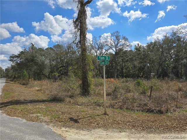 6436 Yam Street, Webster, FL 33597