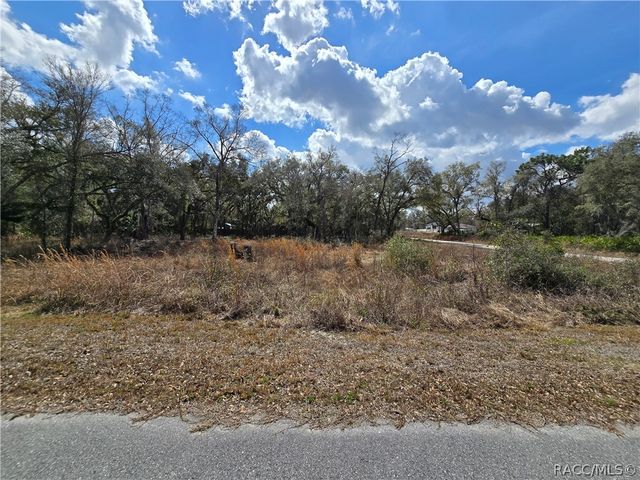 6436 Yam Street, Webster, FL 33597