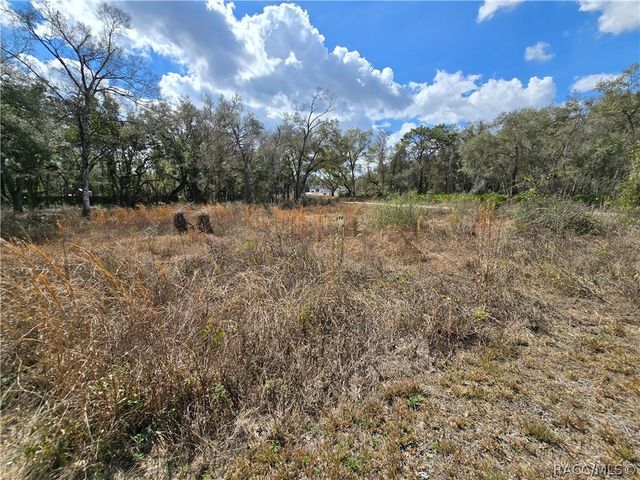 6436 Yam Street, Webster, FL 33597