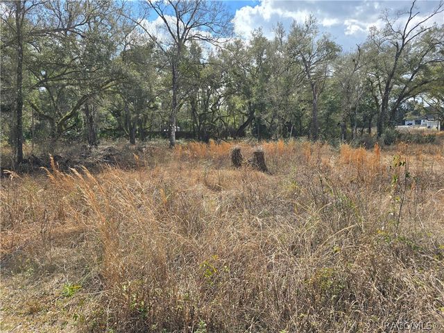 6436 Yam Street, Webster, FL 33597