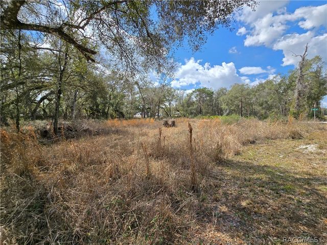 6436 Yam Street, Webster, FL 33597