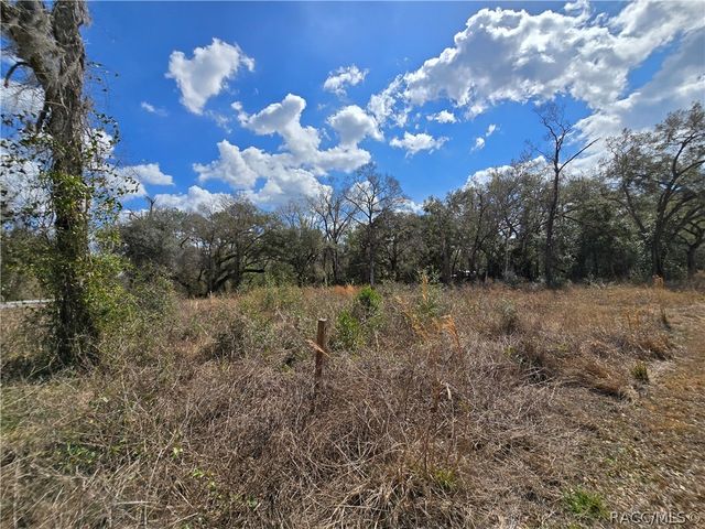 6436 Yam Street, Webster, FL 33597