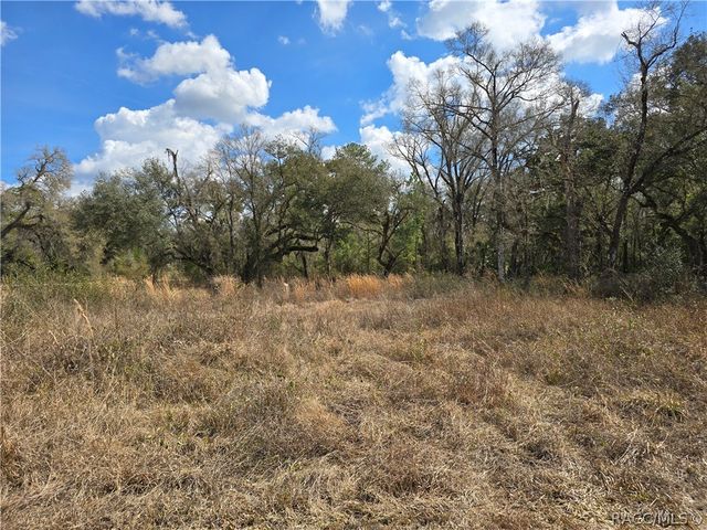 6436 Yam Street, Webster, FL 33597