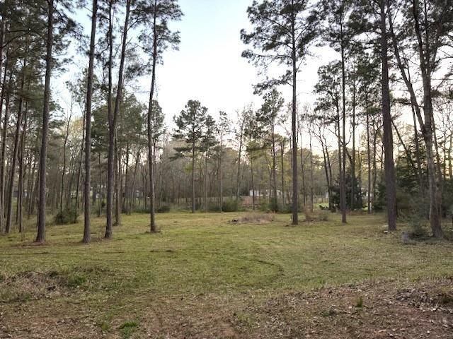 14468 Ehler Lane, Montgomery, TX 77356