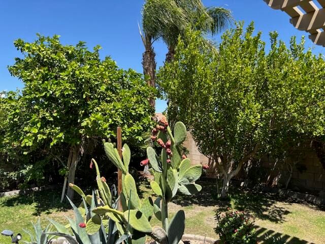 984 Tierra Lane, Palm Springs, CA 92262