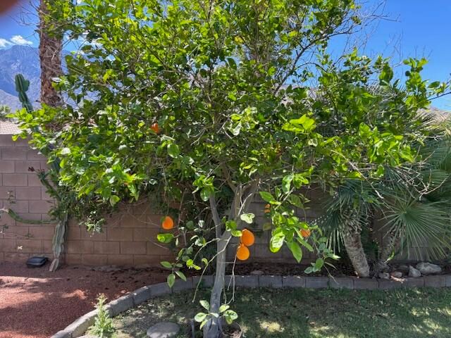 984 Tierra Lane, Palm Springs, CA 92262