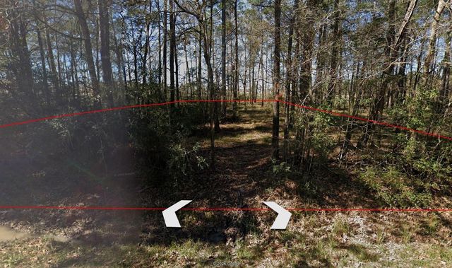 0000 Dogwood Lane, Houston, TX 77339