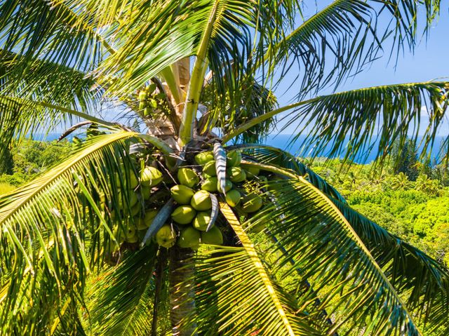 17 Door Of Faith Rd, Haiku, HI 96708