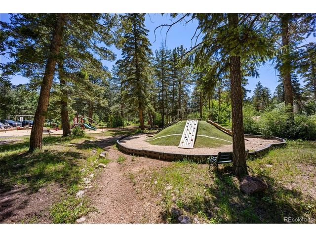 382 Largo Ave, Palmer Lake, CO 80133