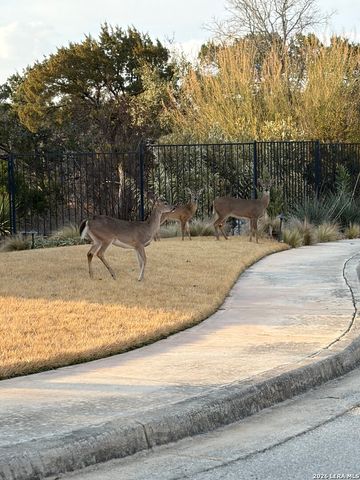 222 Sigel, New Braunfels, TX 78132