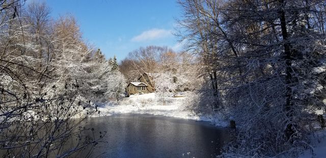 6306 Crackleberry Trail, Woodbury, MN 55129