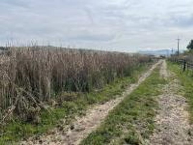 0 Pacheco Pass Highway, Hollister, CA 95023