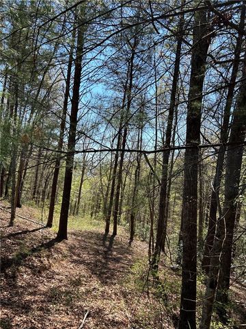 Lot 160 Club House Drive, Sunset, SC 29685