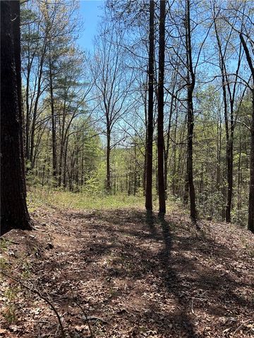 Lot 160 Club House Drive, Sunset, SC 29685