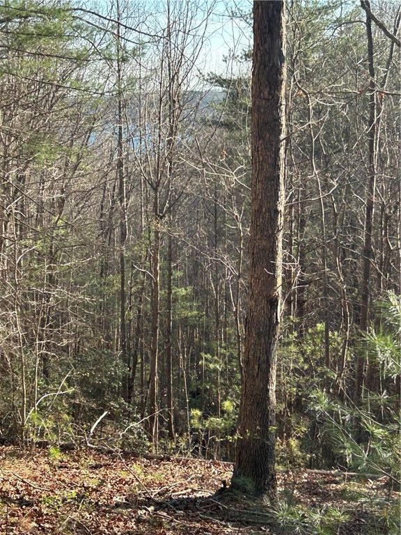 Lot 160 Club House Drive, Sunset, SC 29685
