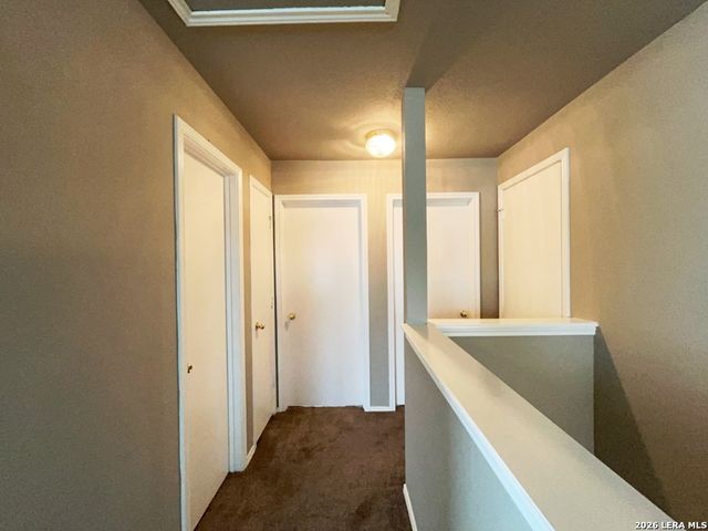 25803 Torch Lily, San Antonio, TX 78260