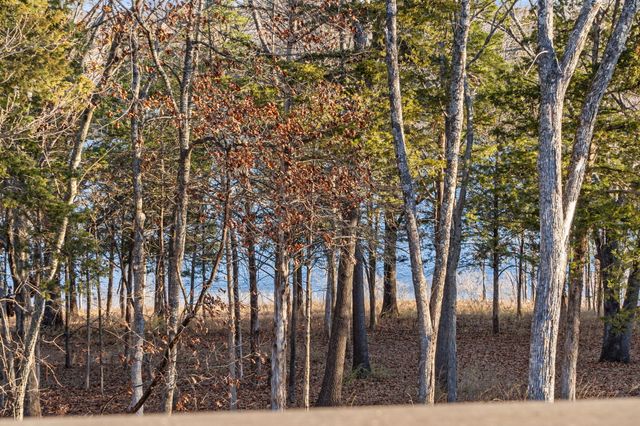 51 Cherokee Drive, Kimberling City, MO 65686