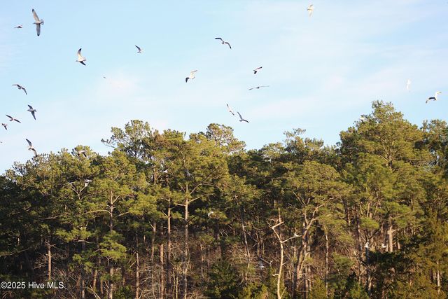 145 Heron Drive, Havelock, NC 28532