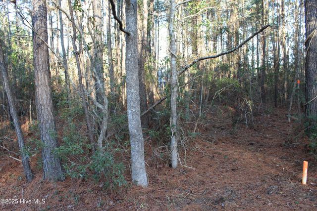 145 Heron Drive, Havelock, NC 28532