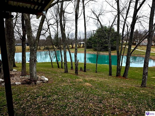 345 St Ambrose Church Lane, Cecilia, KY 42724