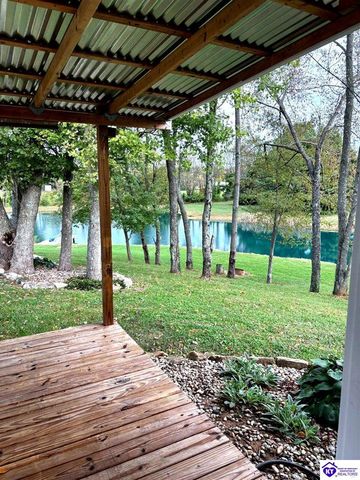 345 St Ambrose Church Lane, Cecilia, KY 42724