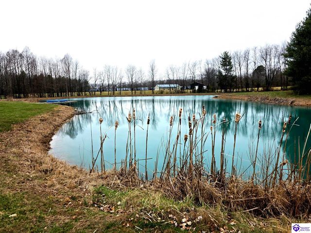 345 St Ambrose Church Lane, Cecilia, KY 42724