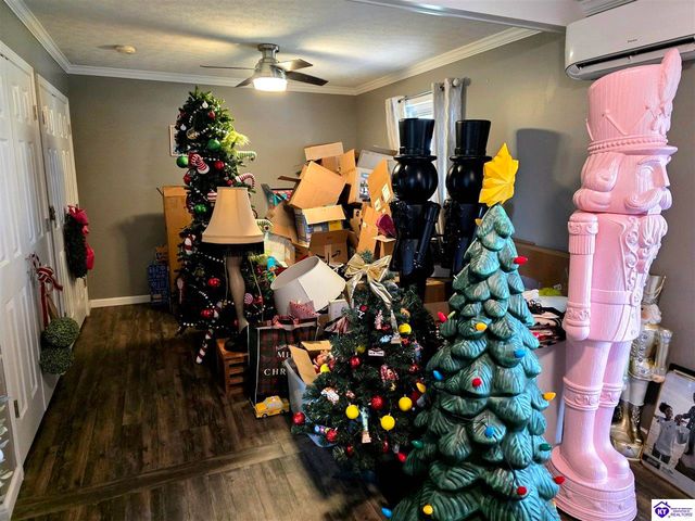 345 St Ambrose Church Lane, Cecilia, KY 42724