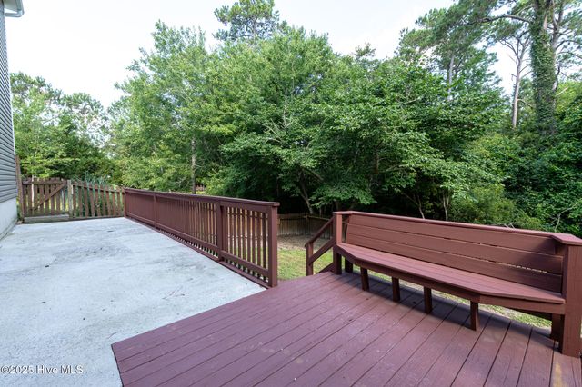 410 Celtic Ash Street, Sneads Ferry, NC 28460