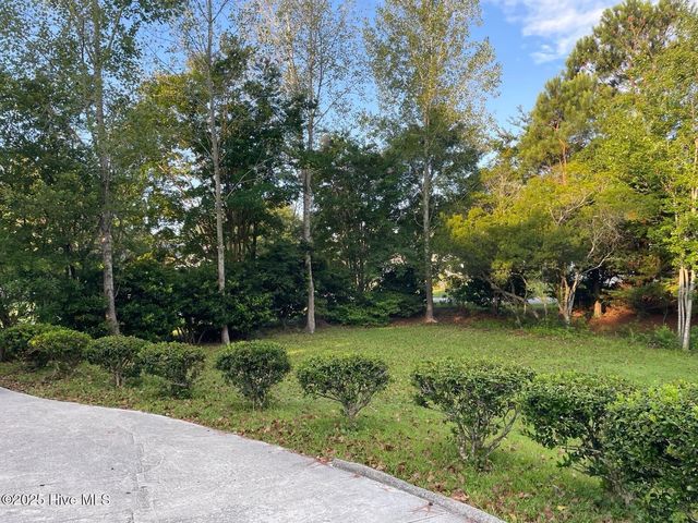 410 Celtic Ash Street, Sneads Ferry, NC 28460