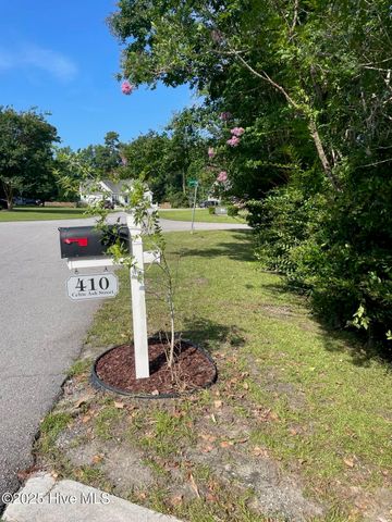 410 Celtic Ash Street, Sneads Ferry, NC 28460