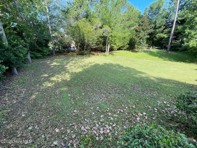 410 Celtic Ash Street, Sneads Ferry, NC 28460