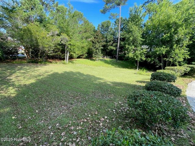 410 Celtic Ash Street, Sneads Ferry, NC 28460