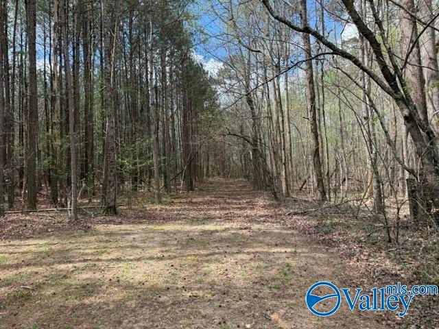 3341 County Road 107, Fort Payne, AL 35967