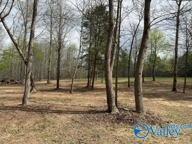 3341 County Road 107, Fort Payne, AL 35967