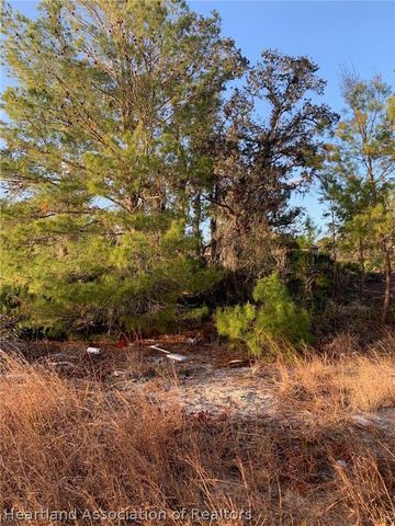 2836 W Seville Drive, Avon Park, FL 33825