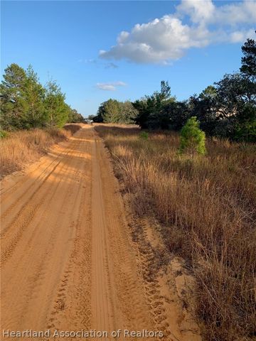 2836 W Seville Drive, Avon Park, FL 33825