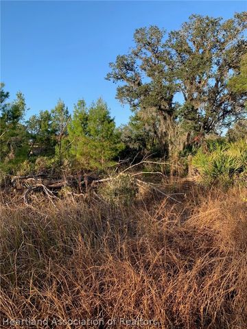 2836 W Seville Drive, Avon Park, FL 33825