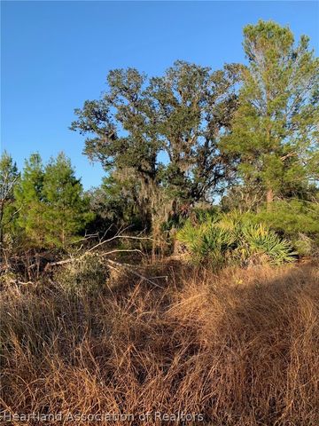 2836 W Seville Drive, Avon Park, FL 33825