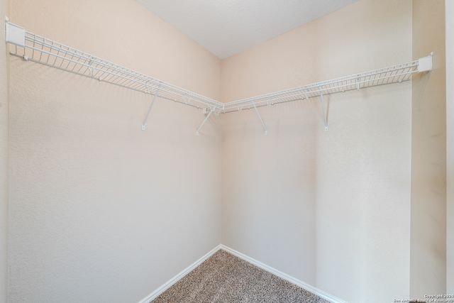 12226 Mountain Pine, San Antonio, TX 78254