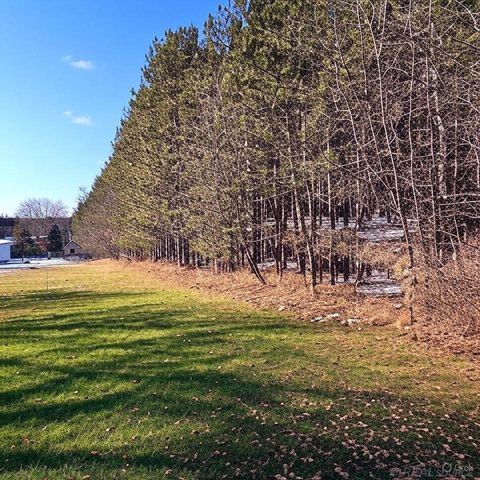 8209 Florida Street, Oscoda Twp, MI 48750