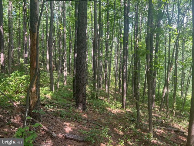 0 THORNTON GAP CHURCH ROAD, Sperryville, VA 22740