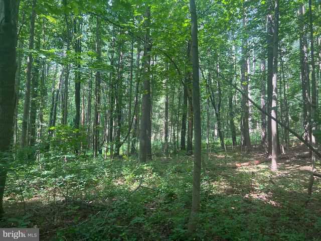 0 THORNTON GAP CHURCH ROAD, Sperryville, VA 22740