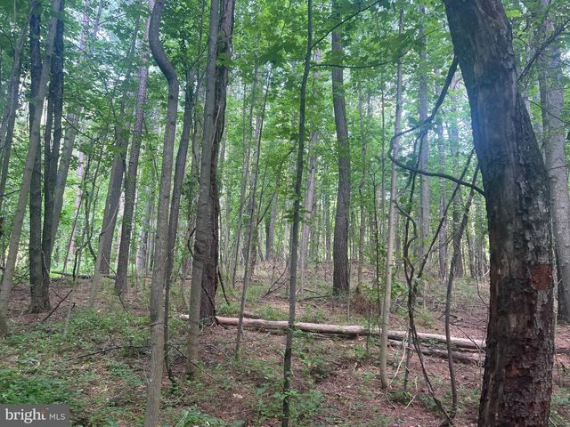 0 THORNTON GAP CHURCH ROAD, Sperryville, VA 22740