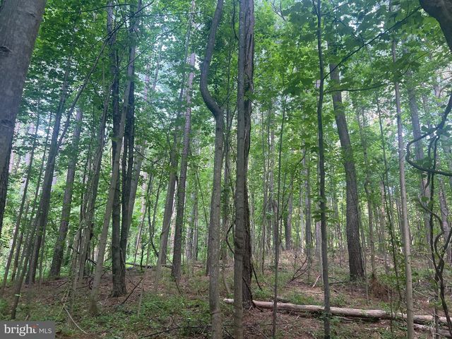 0 THORNTON GAP CHURCH ROAD, Sperryville, VA 22740